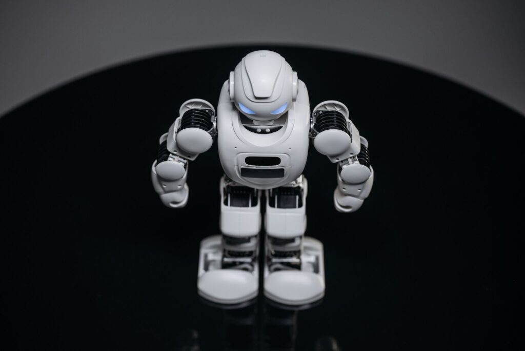 Humanoid Robots in the Home: Exploring the Reality Behind the Tech Hype