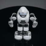Humanoid Robots in the Home: Exploring the Reality Behind the Tech Hype