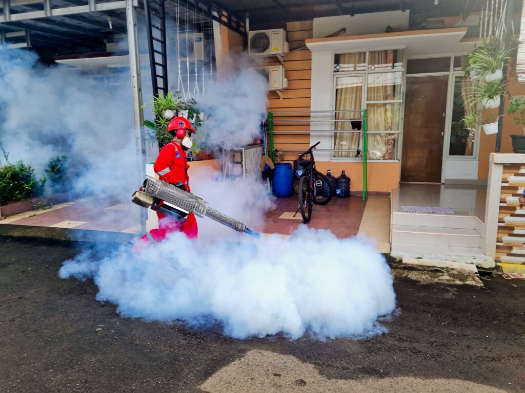 Lessons from Belém: How a Brazilian City Combated a Stubborn Mosquito Threat