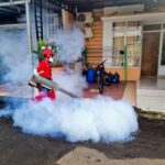 Lessons from Belém: How a Brazilian City Combated a Stubborn Mosquito Threat