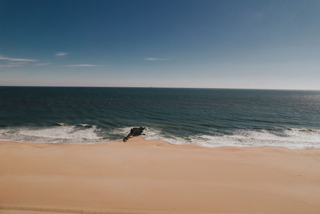 New Jersey Officials Raise Alarms Over Shark Luring Tactics in Coastal Waters