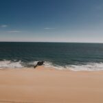New Jersey Officials Raise Alarms Over Shark Luring Tactics in Coastal Waters