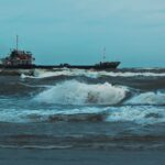 Panama-Flagged Cargo Ship Sinks Off Odisha Coast With 24 Crew Members Aboard