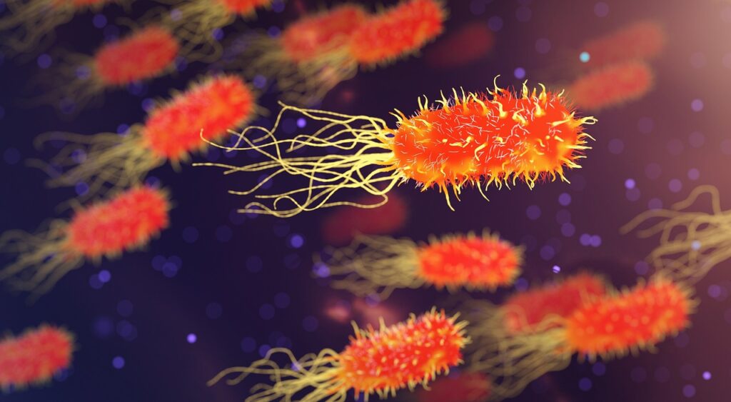 Stanford Researchers Use Generative AI to Design First Custom Virus Targeting E. Coli