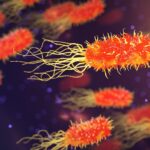 Stanford Researchers Use Generative AI to Design First Custom Virus Targeting E. Coli