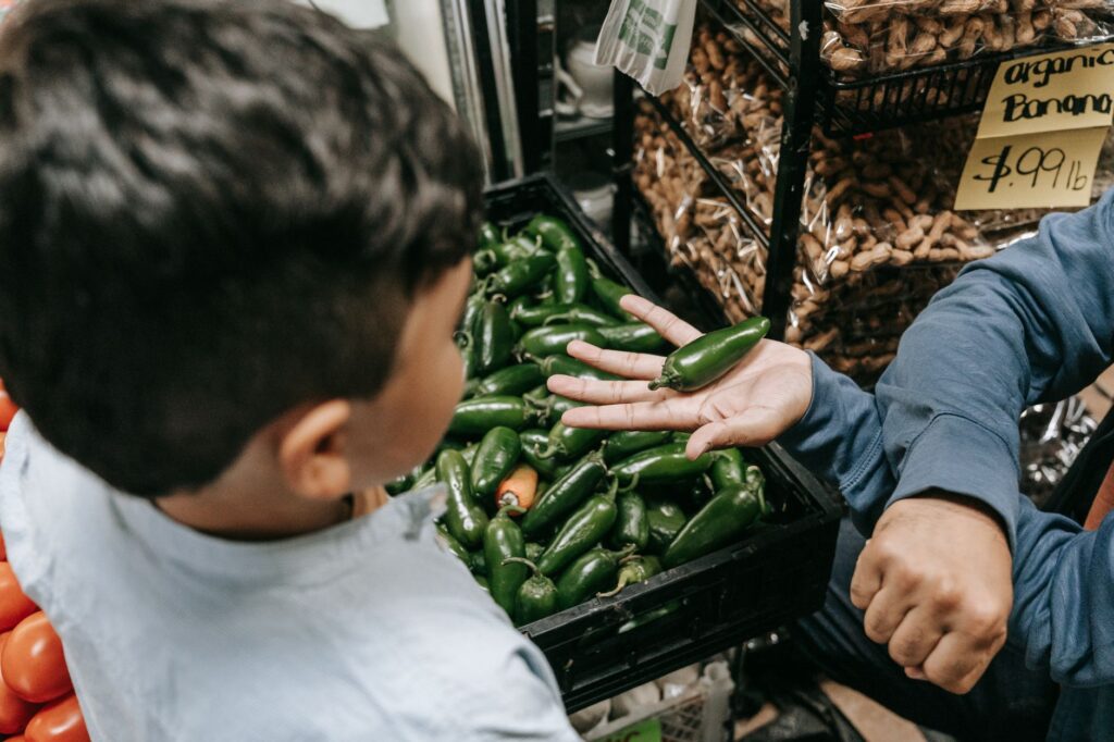 Taylor Farms Announces Voluntary Recall of Fresh Jalapeños Amid Salmonella Concerns