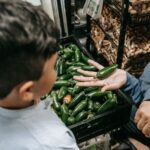 Taylor Farms Announces Voluntary Recall of Fresh Jalapeños Amid Salmonella Concerns