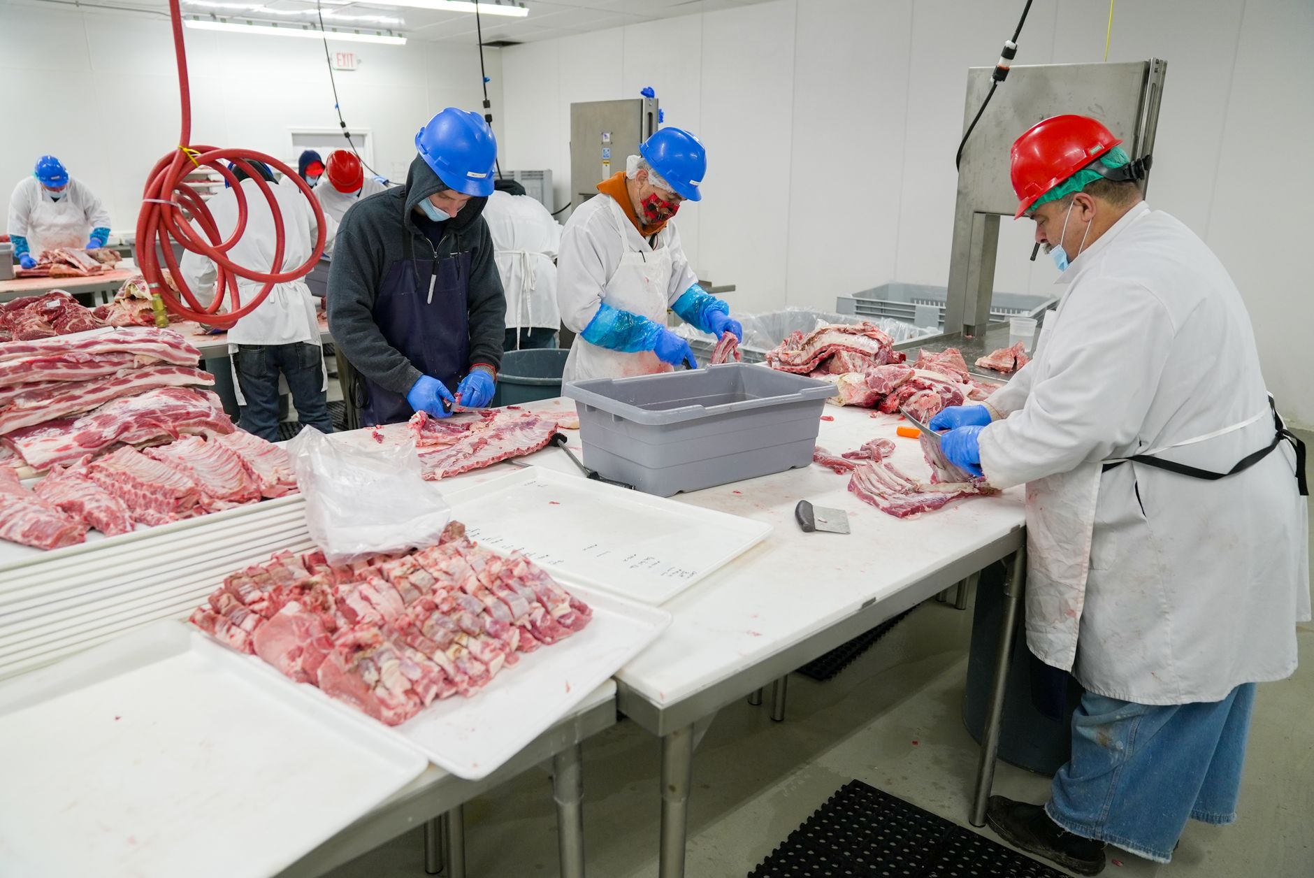 Taylor Farms Faces Scrutiny Following Recent Salmonella and Cyclospora Outbreaks
