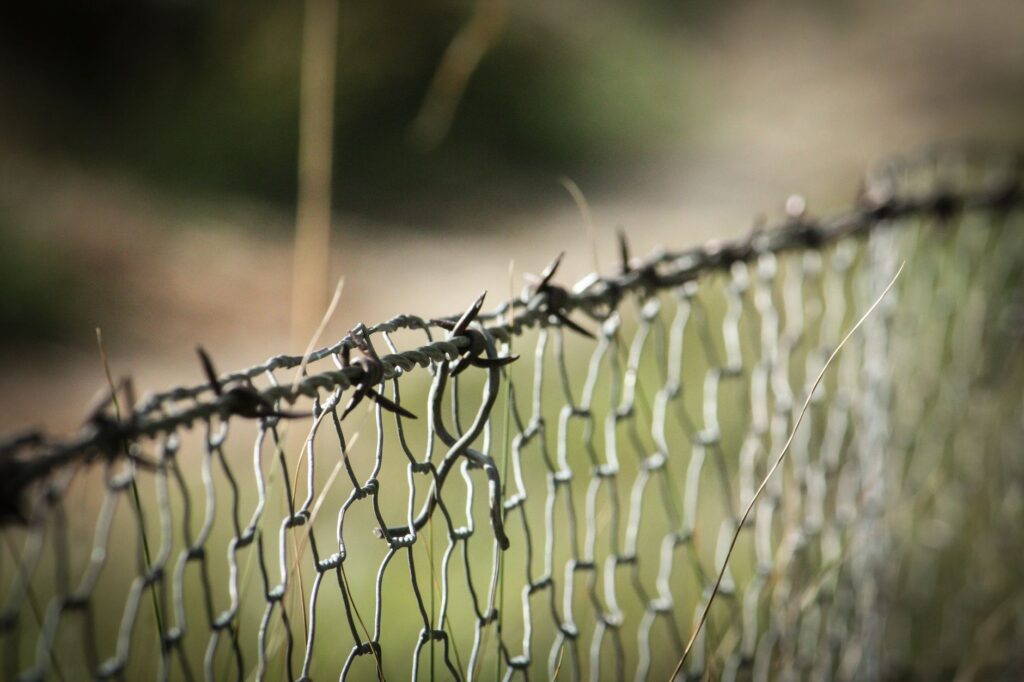 Close-up view of a barbed wire fence in a natural setting, highlighting its intricate design.
