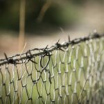 Close-up view of a barbed wire fence in a natural setting, highlighting its intricate design.