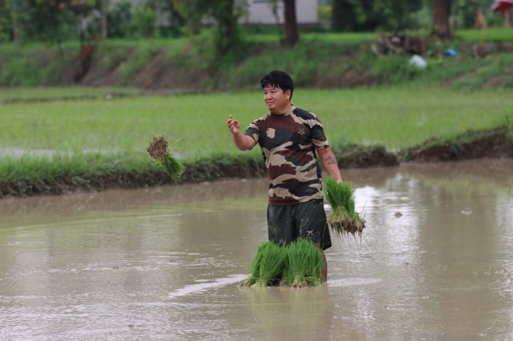 South Asian farmer planting rice in a flooded field in Butwal, Nepal, showcasing traditional farming methods.