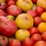 Close-up of colorful ripe heirloom tomatoes in various shapes and sizes.