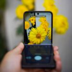 A smartphone capturing vivid yellow flowers, showcasing technology and nature interaction.