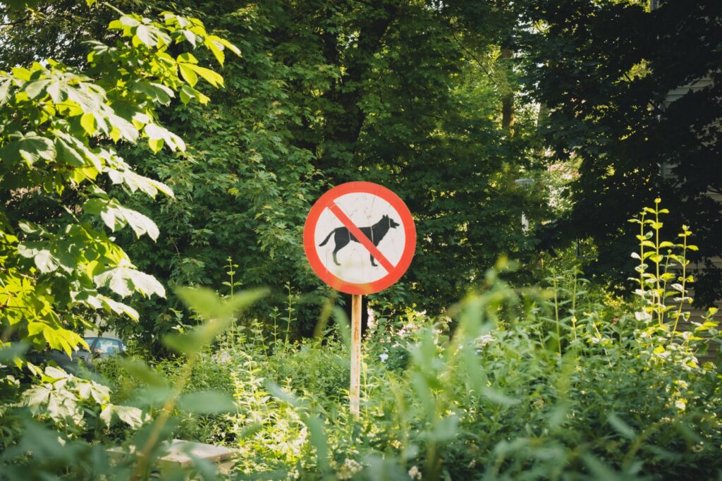 Sign prohibiting dogs surrounded by lush greenery in a sunny outdoor setting.
