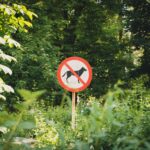 Sign prohibiting dogs surrounded by lush greenery in a sunny outdoor setting.