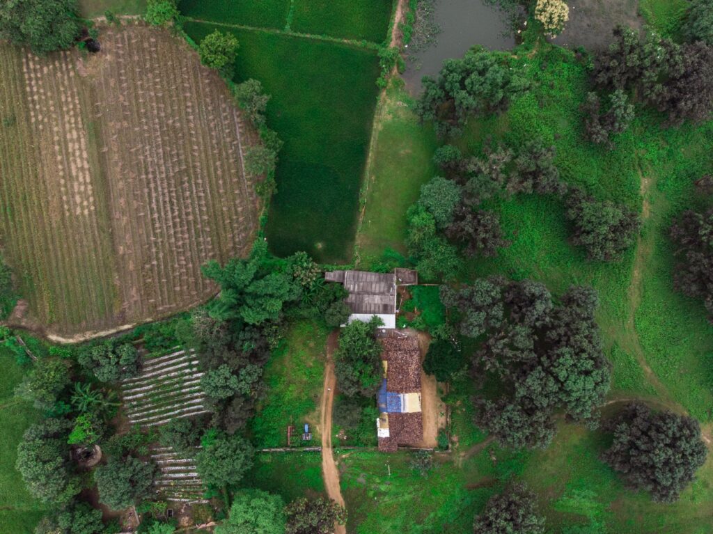 Aerial view of lush green farmland and a small rural house in Chandigarh, India.
