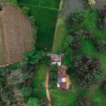 Aerial view of lush green farmland and a small rural house in Chandigarh, India.