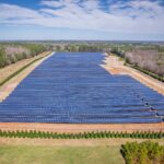 Extensive solar farm surrounded by forests in White Level, NC, showcasing renewable energy.