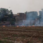 A rural field with crop stubble burning, emitting smoke near old buildings and trees.