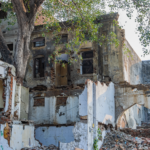 Ruins of an abandoned heritage building overgrown by trees in Delhi, India.