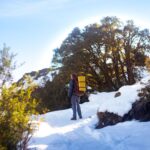 A person hiking through a snowy trail in El Bolsón, Argentina, surrounded by trees under a blue sky.