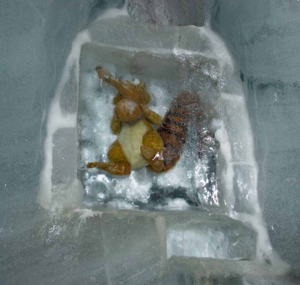 Toy encased in ice, captured in a winter setting. Perfect for seasonal themes.