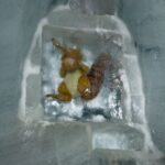 Toy encased in ice, captured in a winter setting. Perfect for seasonal themes.