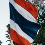 Close-up view of the Thailand national flag waving among trees. Symbolic and patriotic imagery.