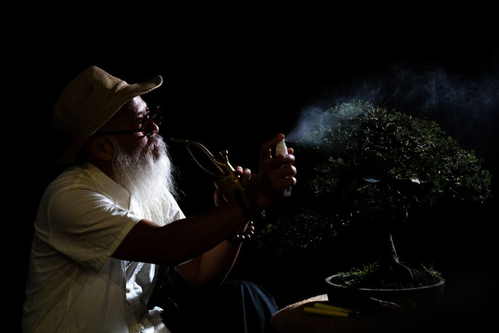 Elderly man sprays a bonsai tree in a dramatic, dark setting with low key lighting.