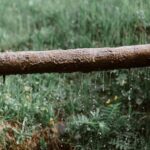 Aged rusted metal tube with dripping water above green lush lawn in garden