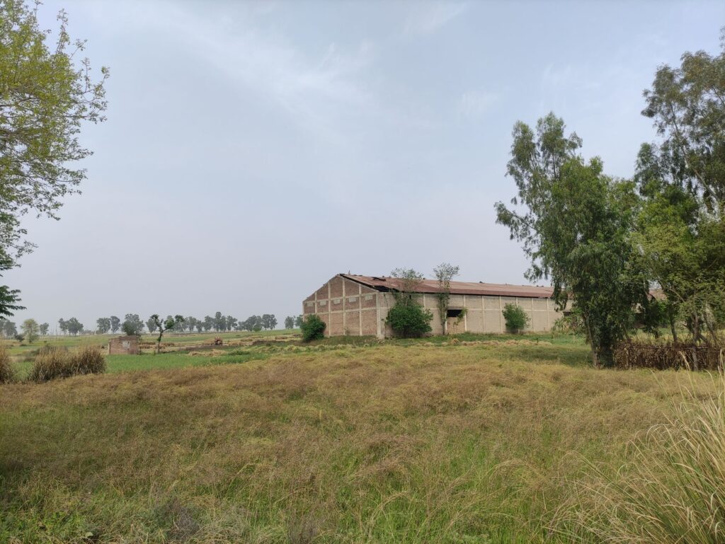 Dilapidated barn in rural landscape with overgrown grass and scattered trees under clear sky.