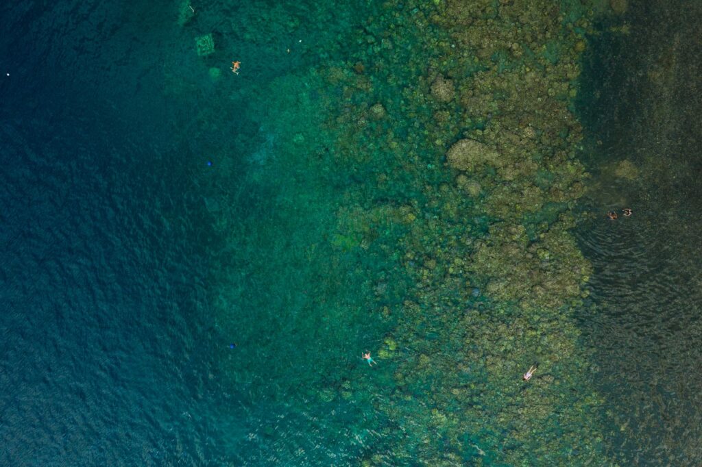 A stunning aerial view of swimmers exploring a vibrant coral reef in clear ocean waters.