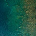A stunning aerial view of swimmers exploring a vibrant coral reef in clear ocean waters.