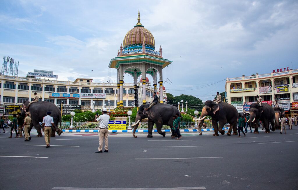 Elephants parading in front of Mysore's iconic Chamarajendra Circle under a cloudy sky.