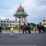 Elephants parading in front of Mysore's iconic Chamarajendra Circle under a cloudy sky.