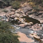 Peaceful stream flowing through rocky terrain with surrounding greenery and eroded stones.