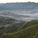 Breathtaking view of fog-laden rolling hills and valleys in Dzukou Valley, showcasing nature's tranquility.