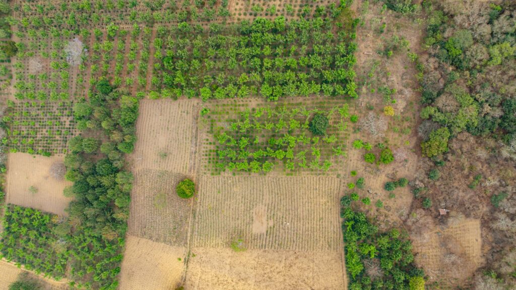 Aerial shot of green and brown agricultural fields showcasing rural farmland and crop diversity.