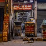 Night scene of a food stall in Old Delhi showing a street cat and vibrant signs.