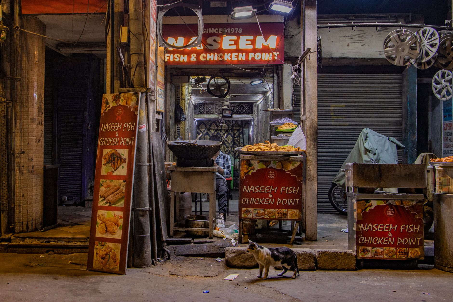 Night scene of a food stall in Old Delhi showing a street cat and vibrant signs.