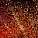 A dazzling display of orange confetti illuminated against a dark night sky, perfect for festive celebrations.