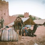 Military camp in a desert with camels and soldiers in uniform next to traditional tents.