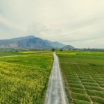 Expansive green fields stretch to the mountains under a bright sky, capturing rural tranquility.