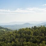 Scenic view of lush forests and distant mountains under a clear blue sky in India.