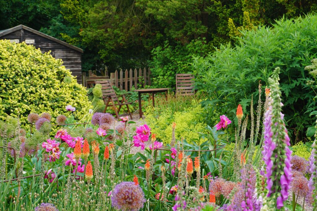 Colorful flowering plants in a lush garden setting in Melrose, Scotland during summer.