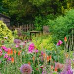 Colorful flowering plants in a lush garden setting in Melrose, Scotland during summer.
