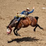 Exciting rodeo scene at Calgary Stampede with cowboy performing on a bucking horse.