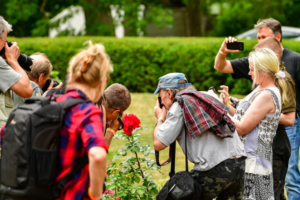 Group of photographers enthusiastically capturing red roses in Vasta, Estonia.