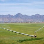Wide view of a green field being irrigated, with mountains in the background under a clear sky.