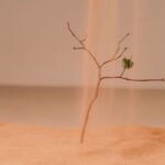 A single branch in sand with a leaf highlighting themes of dryness and perseverance.